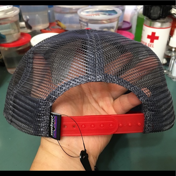 Patagonia Fitz Roy Bear Trucker Hat - Picture 5 of 11